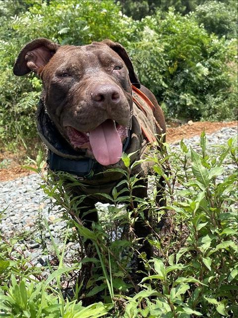 _20220625082953 _20220625082953