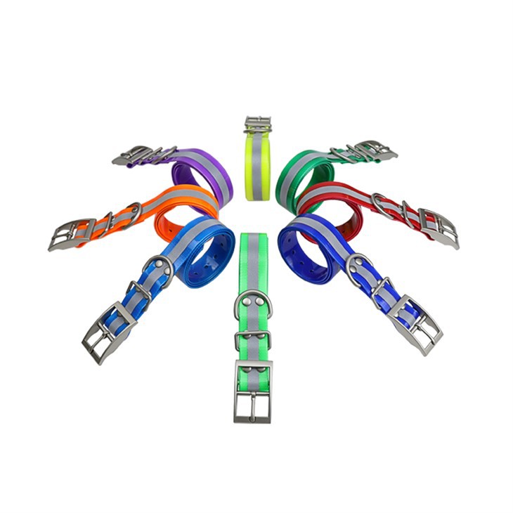 Premium TR-Dog Dog Hunting Dog Guler Lesa